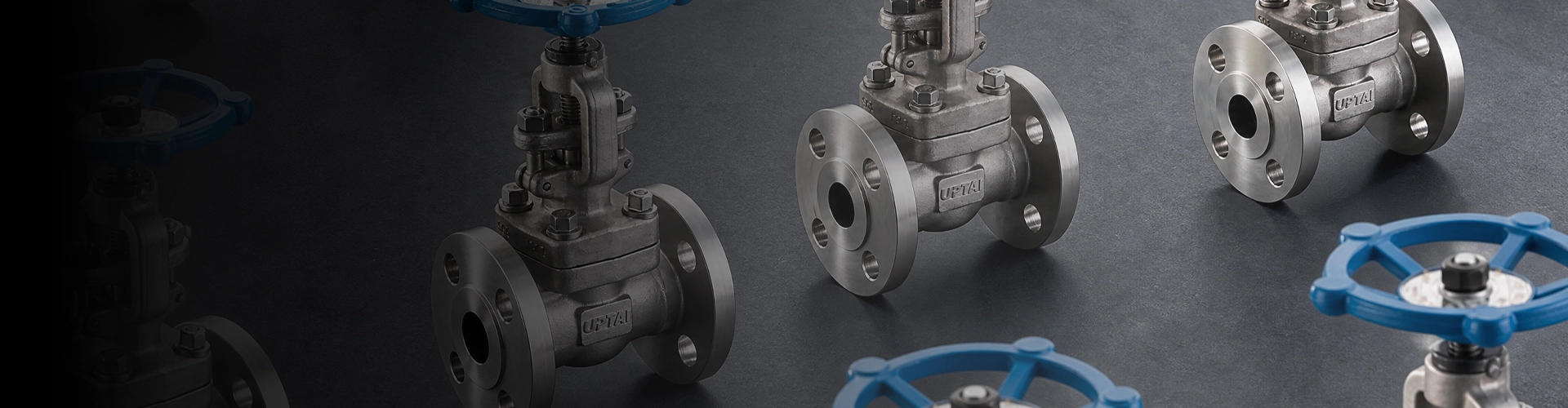 Globe Valves