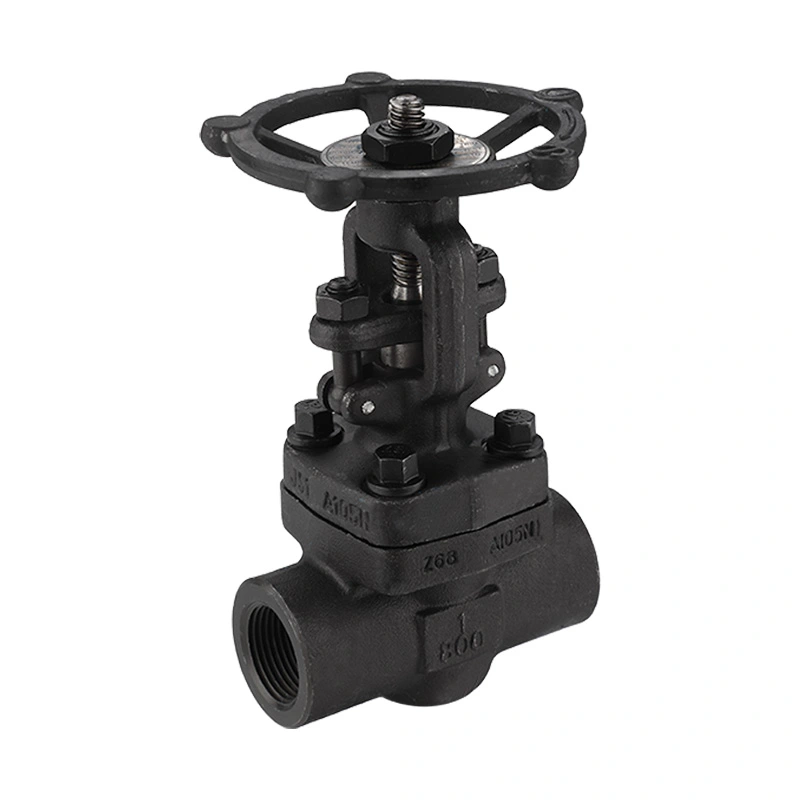 Forged Carbon Steel Gate Valve 800LB