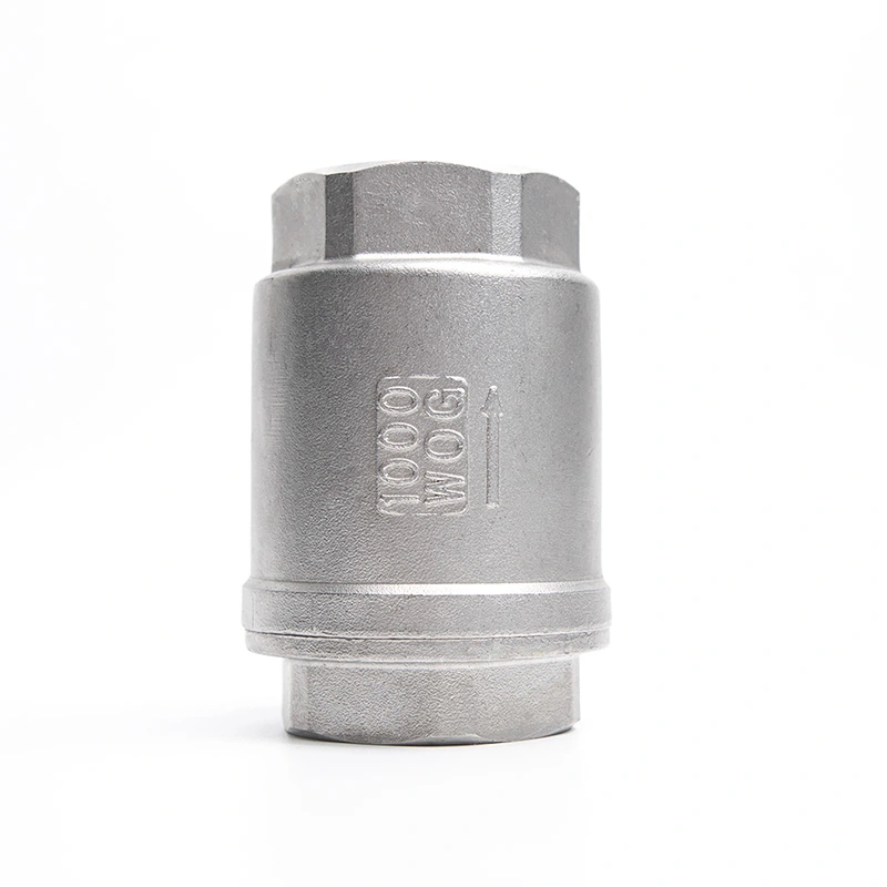 ສະແຕນເລດ Spring Vertical Check Valve
